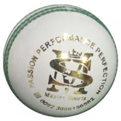 Cricket Ball White